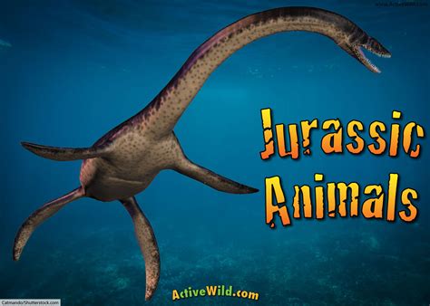 Jurassic Animals – A List Of Animals That Lived In The Jurassic Period