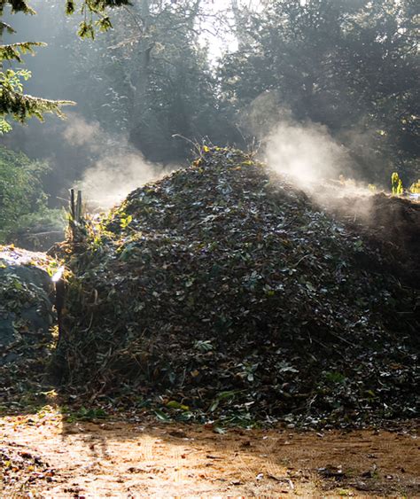 How to Make Compost in 18 Days Using the Berkeley Hot Composting Method – Deep Green Permaculture