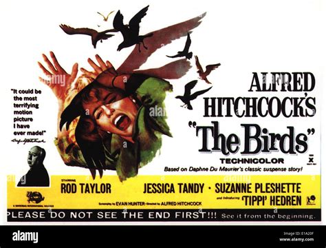 The birds - Movie Poster - Director : Alfred Hitchcock Stock Photo - Alamy