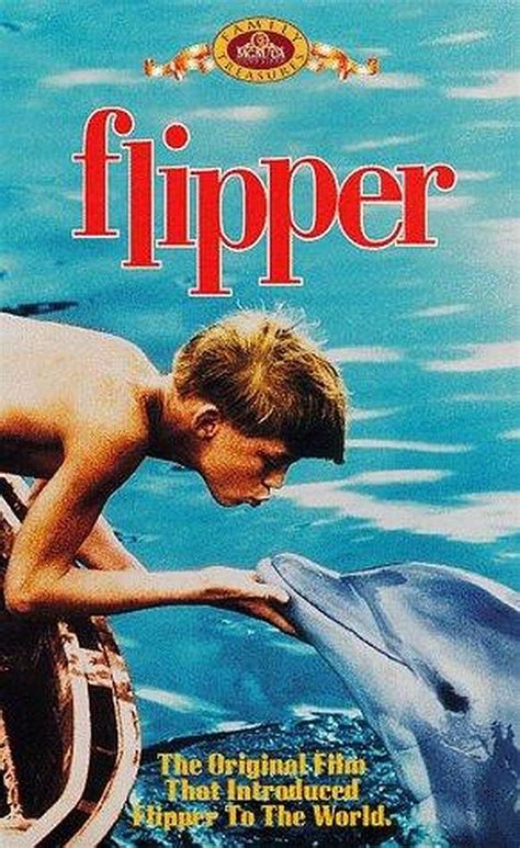 Flipper (1963) | Childhood tv shows, Old tv shows, Old movies