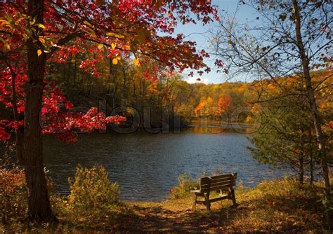 A peaceful Autumn scene with colorful ... | Stock image | Colourbox