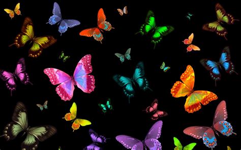 Backgrounds Wallpapers Butterflies - Wallpaper Cave