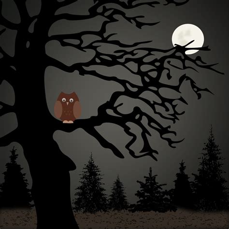 night owl Free Stock Photo | FreeImages