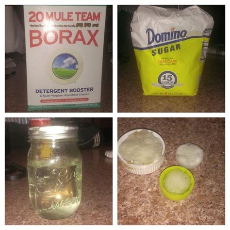 A Simple Borax Ant Killer Recipe That Actually Works 100% - Borax Ant Killer