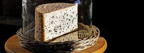 Le fromage - Fromage AOP Bleu d'Auvergne