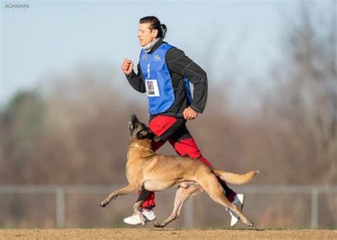 Ot Vitosha Malinois & Ivan Balabanov - 2x World Champions!