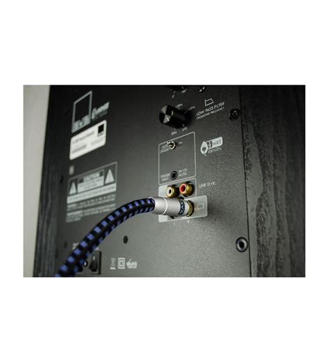 SVS Soundpath Mono Subwoofer Cable - 3 metre