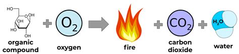 Lesson 17: Biochemsitry - EONS LEARNING