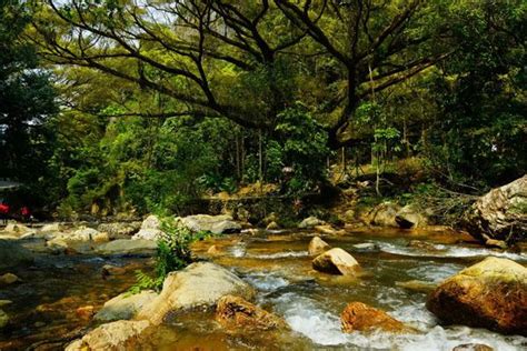 清远周边游景点推荐 最值得游玩的旅游景点_旅泊网