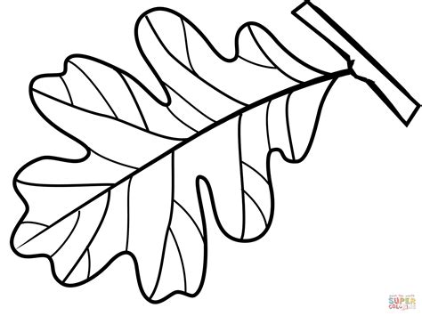 Coloriage - feuille de CHENE | Coloriages à imprimer gratuits