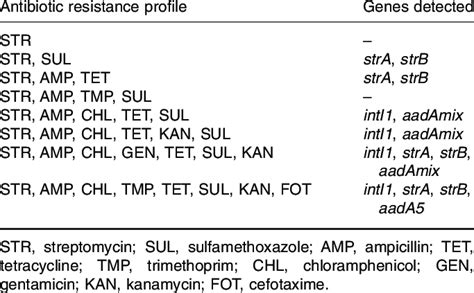 Detection of streptomycin resistance genes and class 1 integron in E.... | Download Table