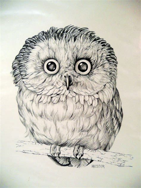 OWL art PRINT DRAWING by Besser printed for Cunningham