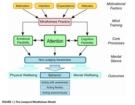 The Positive Effects Of Meditation That Are Proven By Science – Inspiyr.com