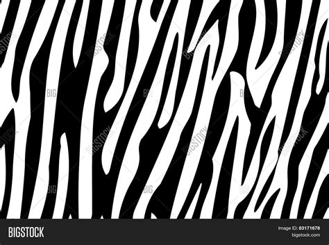 Zebra Stripes Seamless Pattern Image & Photo | Bigstock