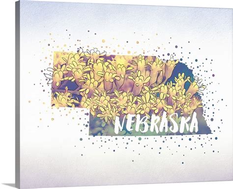 Nebraska State Flower (Goldenrod) | Great Big Canvas