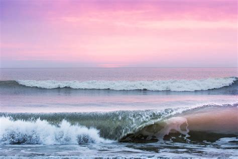 Pink Florida Sunrise Free Photo Download | FreeImages