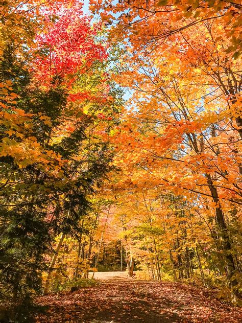 11 Best Places to See Fall Colours in Ontario - Walkaboot Travel