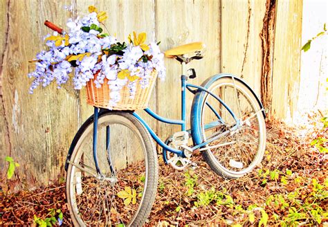 Antique Bicycles Photos