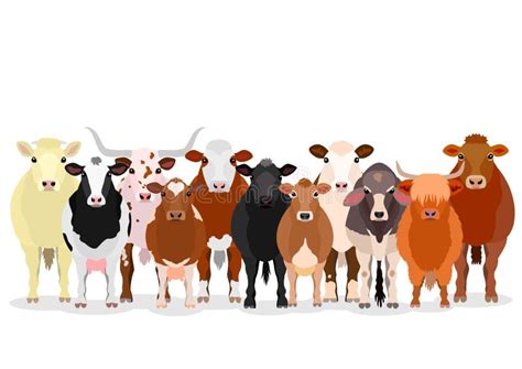 Cattle Stock Illustrations – 94,911 Cattle Stock Illustrations, Vectors & Clipart - Dreamstime