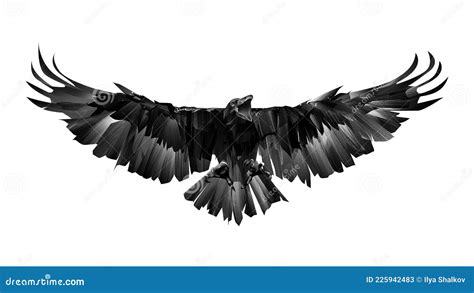 Drawn Raven Bird on White Background with Wingspan Stock Illustration - Illustration of icon ...