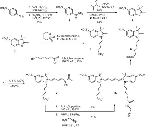 Synthesis and application of water-soluble, photoswitchable cyanine dyes for bioorthogonal ...