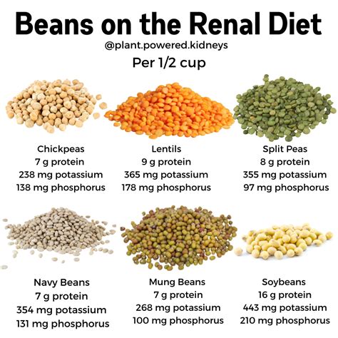 Potassium in Chickpeas & How to Enjoy Them in a Renal Diet