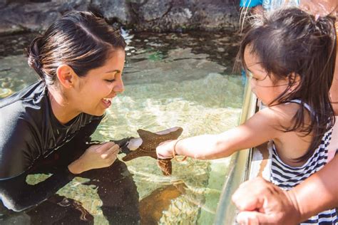 Hawaiʻi Aquarium Tickets & Passes | Maui Ocean Center