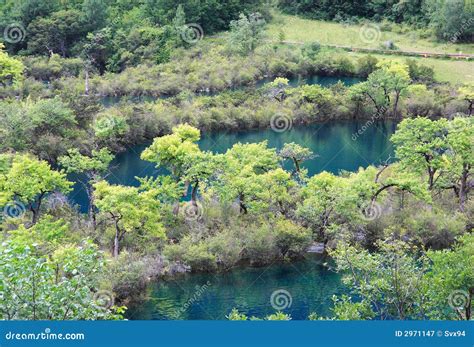 Jiuzhaigou Scenic Area stock image. Image of river, site - 2971147