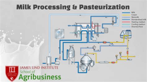 Milk Processing and Pasteurization | JLI Blog