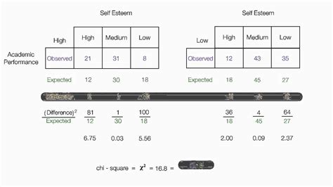 Chi-square hypothesis test calculator - kosherhohpa