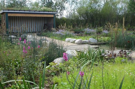 RBC Rain Garden at WWT London Wetland Centre | Rain garden, London ...