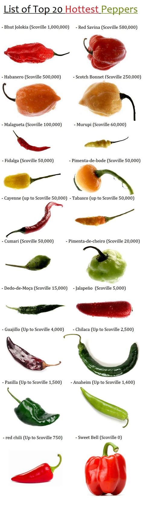 117 best Hot Peppers & Sweet Peppers seed Varieties images on Pinterest | Chili, Fire and Fruit