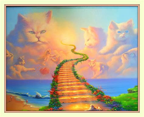 Rainbow Bridge Poem For Cats