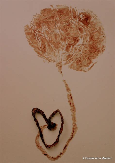 Placenta Print + Umbilical Cord Keepsake 2DoulasonaMission.com | Placenta, Placenta ...