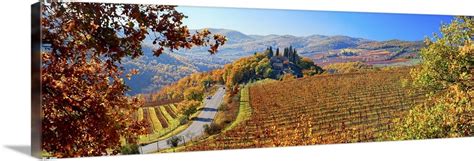 Italy, Tuscany, Castellina in Chianti, Vineyards Wall Art, Canvas Prints, Framed Prints, Wall ...