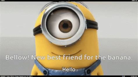 Smart Hello GIF - Smart Hello Minion - Discover & Share GIFs