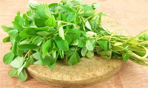 Fenugreek Shown to Alleviate Symptoms of Menopause - NHRI