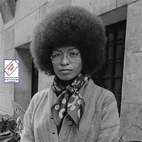 Angela Davis Afro Hair Black History Political Activist Feminist ...