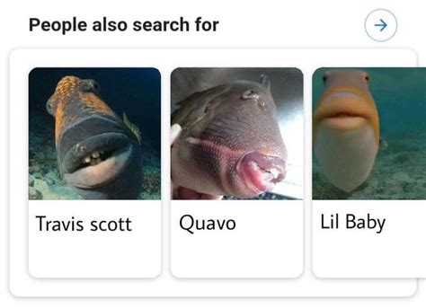 people also search for | Travis Scott Fish | Know Your Meme