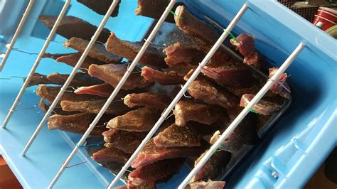 The Best Biltong Dryer - Fortvic Consulting