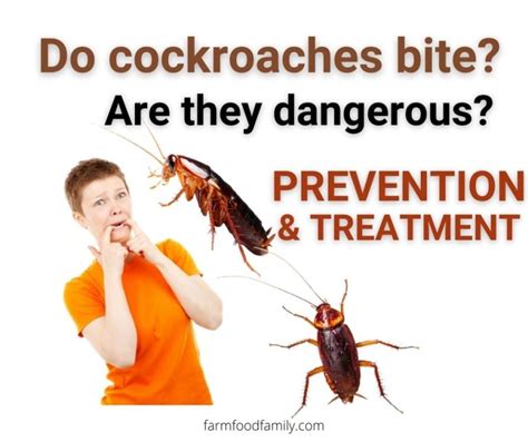 Do Roaches Bite Humans and Pets? (Signs, Prevention, and Treament)