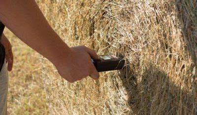 7 BEST Hay Moisture Tester Reviews (2022 Updated) - Sand Creek Farm