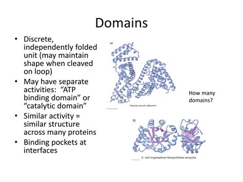 PPT - Protein Structure PowerPoint Presentation, free download - ID:1462519