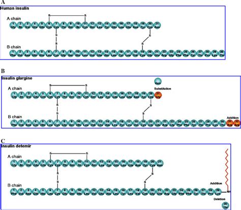 Figure 1 from Beyond the era of NPH insulin--long-acting insulin ...