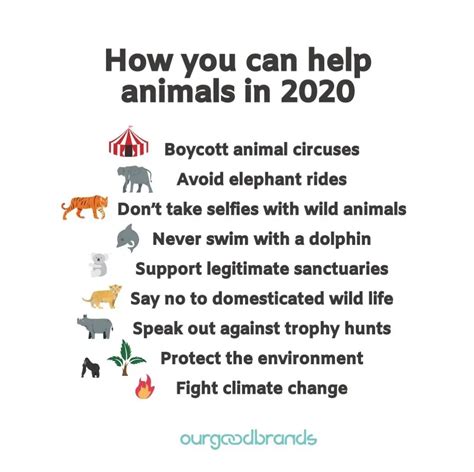 Top 156+ How to protect animals and ecosystem - Merkantilaklubben.org