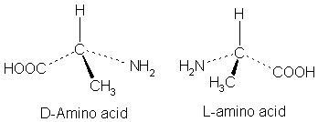 Difference Between Left and Right Handed Amino Acids | Compare the Difference Between Similar Terms