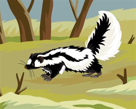 Striped Polecat - Facts, Diet, Habitat & Pictures on Animalia.bio