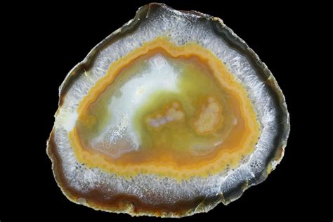 Bargain, 6.3" Polished Brazilian Agate Slice For Sale (#85120) - FossilEra.com