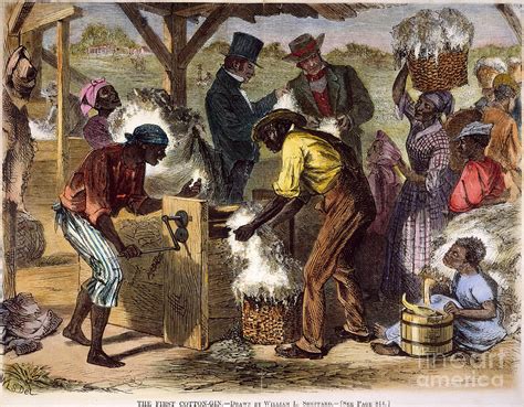 US Slave: Eli Whitney's Invention: The Cotton Gin