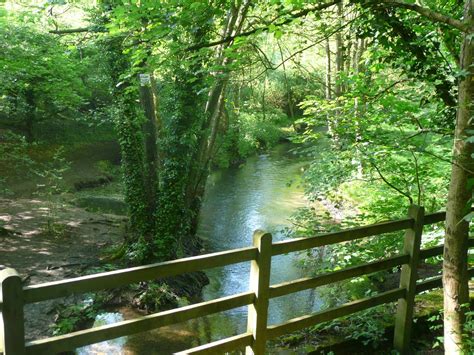 Worthing Wanderer: Meon Valley Trail Knowle Junction (Fareham) - West Meon